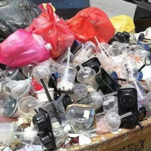 अनेक देशांतील प्लास्टिक कचरा उद्योग पुढील वर्षी संकटात सापडला आहे