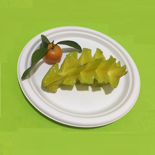 इको फ्रेंडली टेबलवेअर
