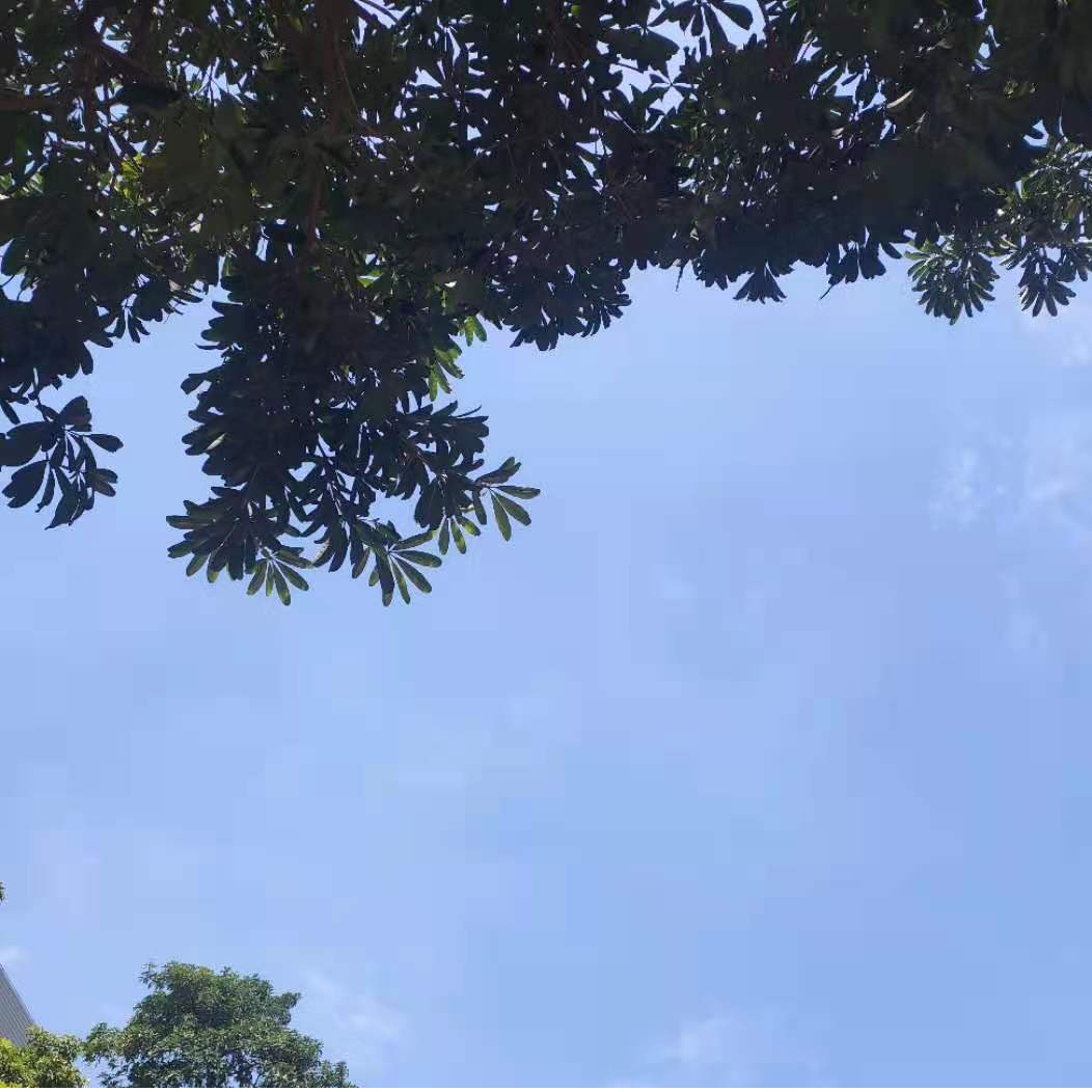 जागतिक वसुंधरा दिन